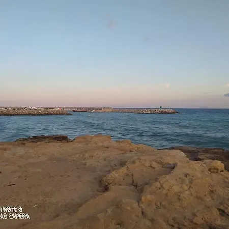Frente Al Mar Mediterraneo Appartamento